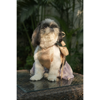 Goldie lehenga