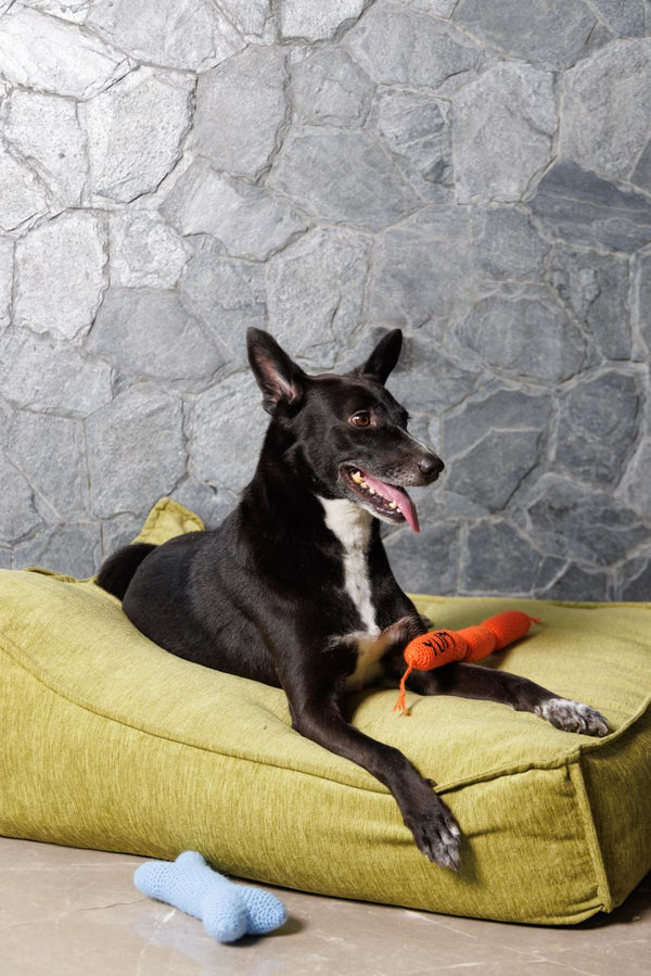 Pawperoni Sausage Pet Toy