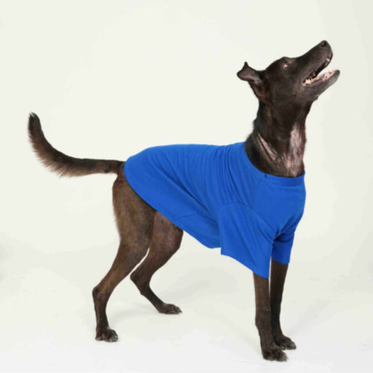 Blue Breeze Breathable Dog Tee