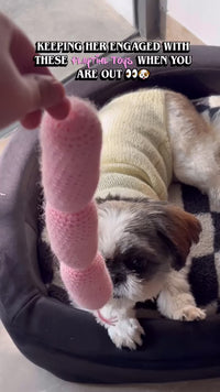 Pawperoni Sausage Pet Toy