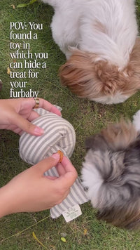 The Knot Squeaky Pet Toy