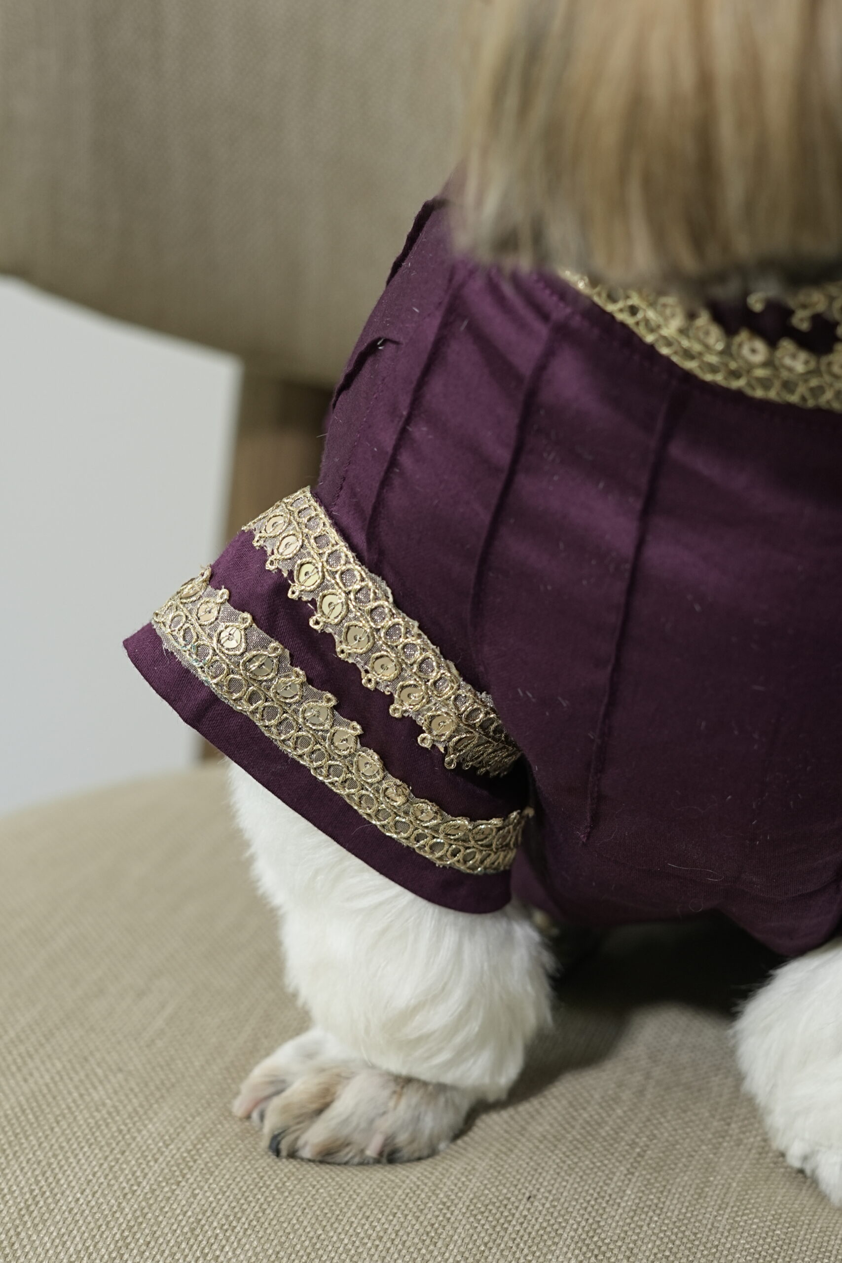 Prince kurta - Image 3