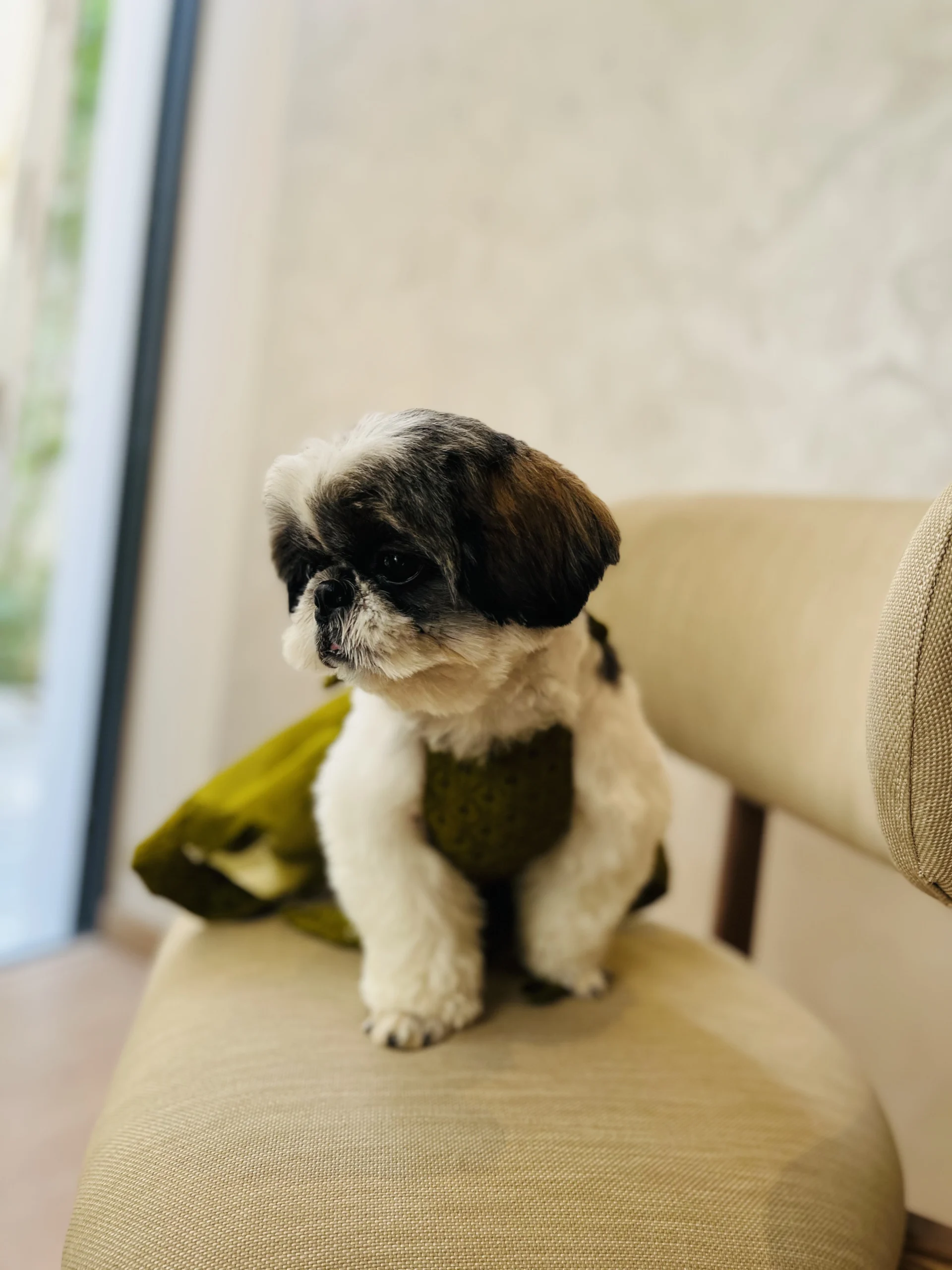 The lehenga - Image 3