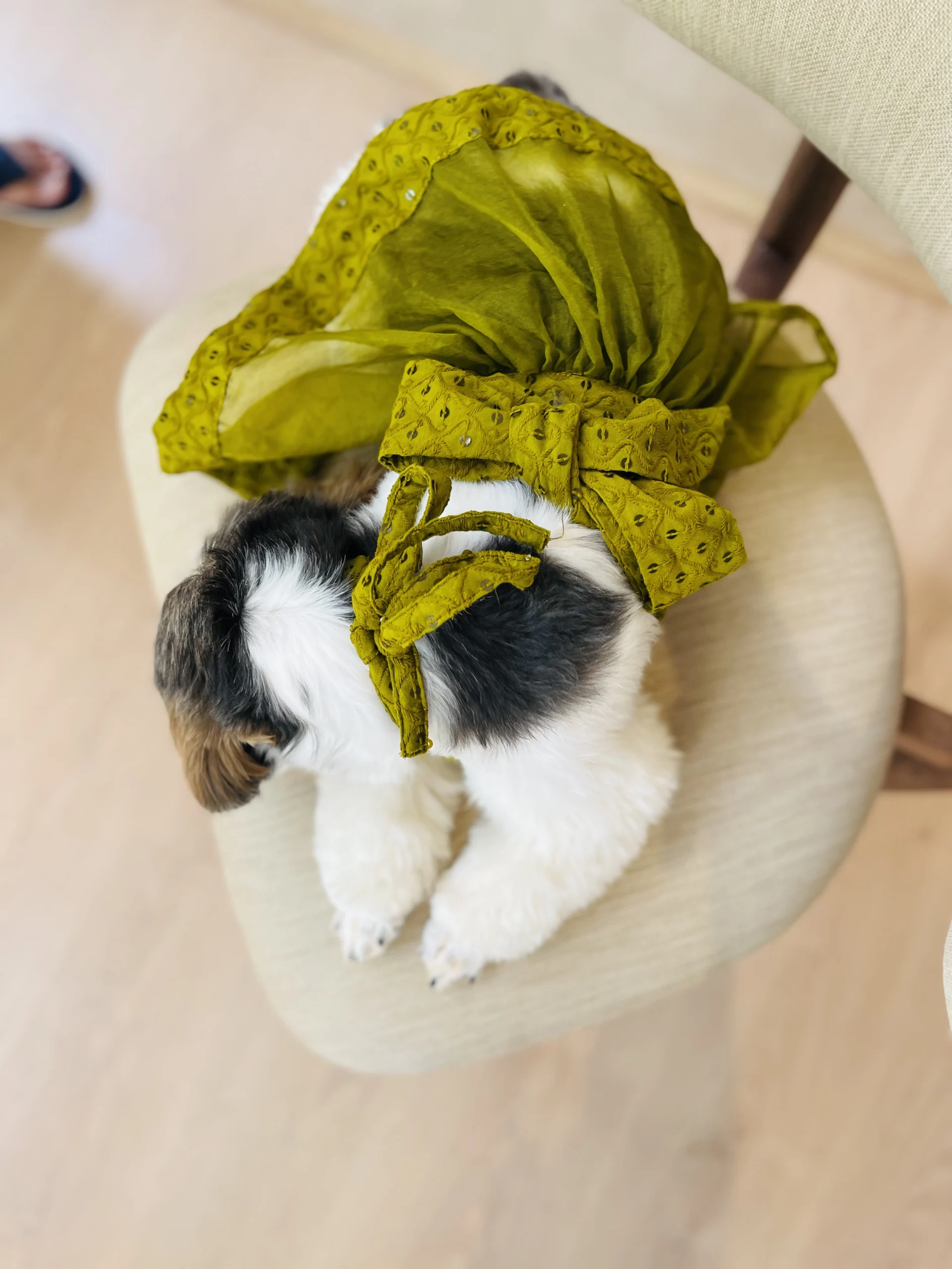 The lehenga - Image 7