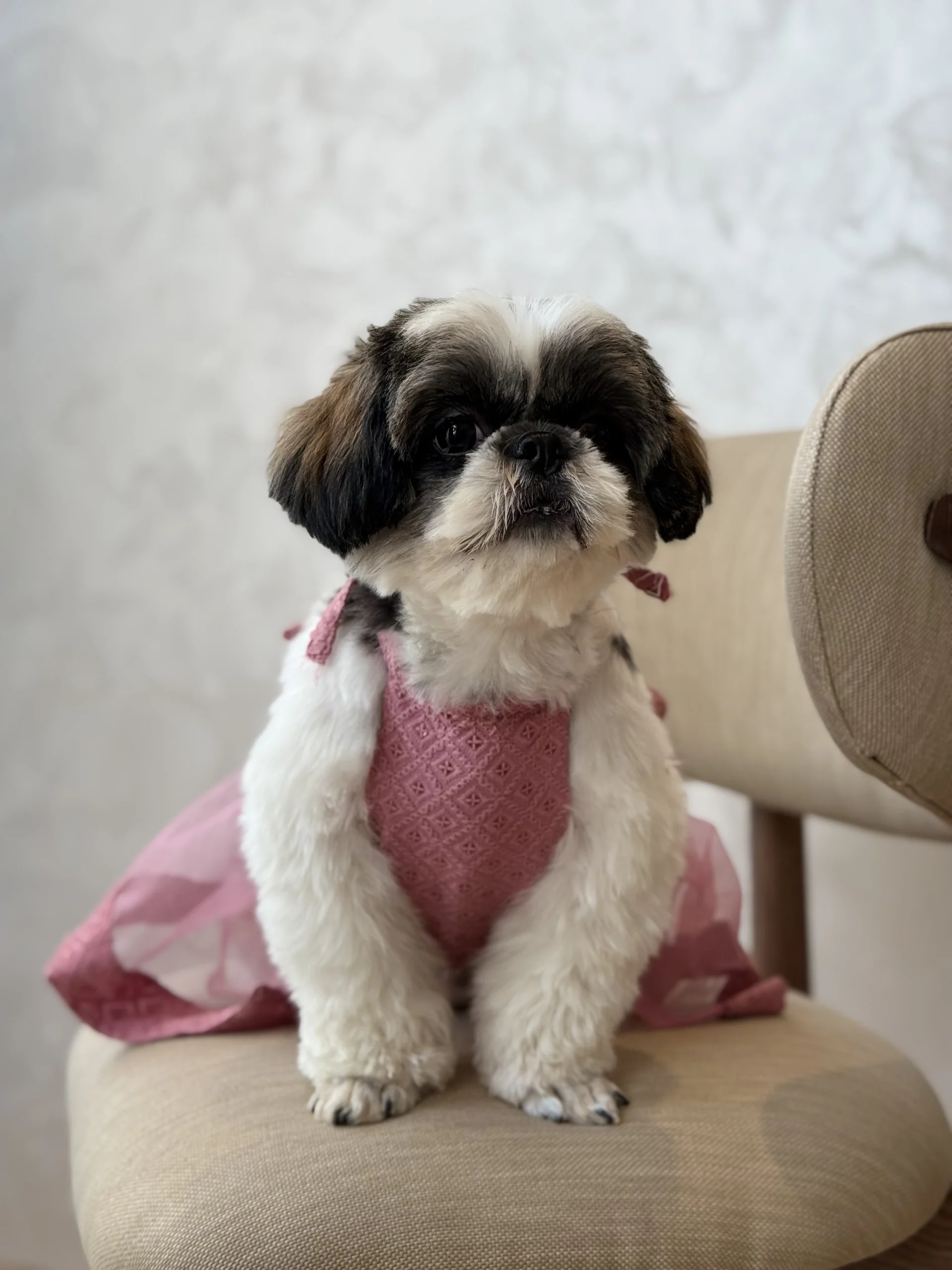 The lehenga - Image 8