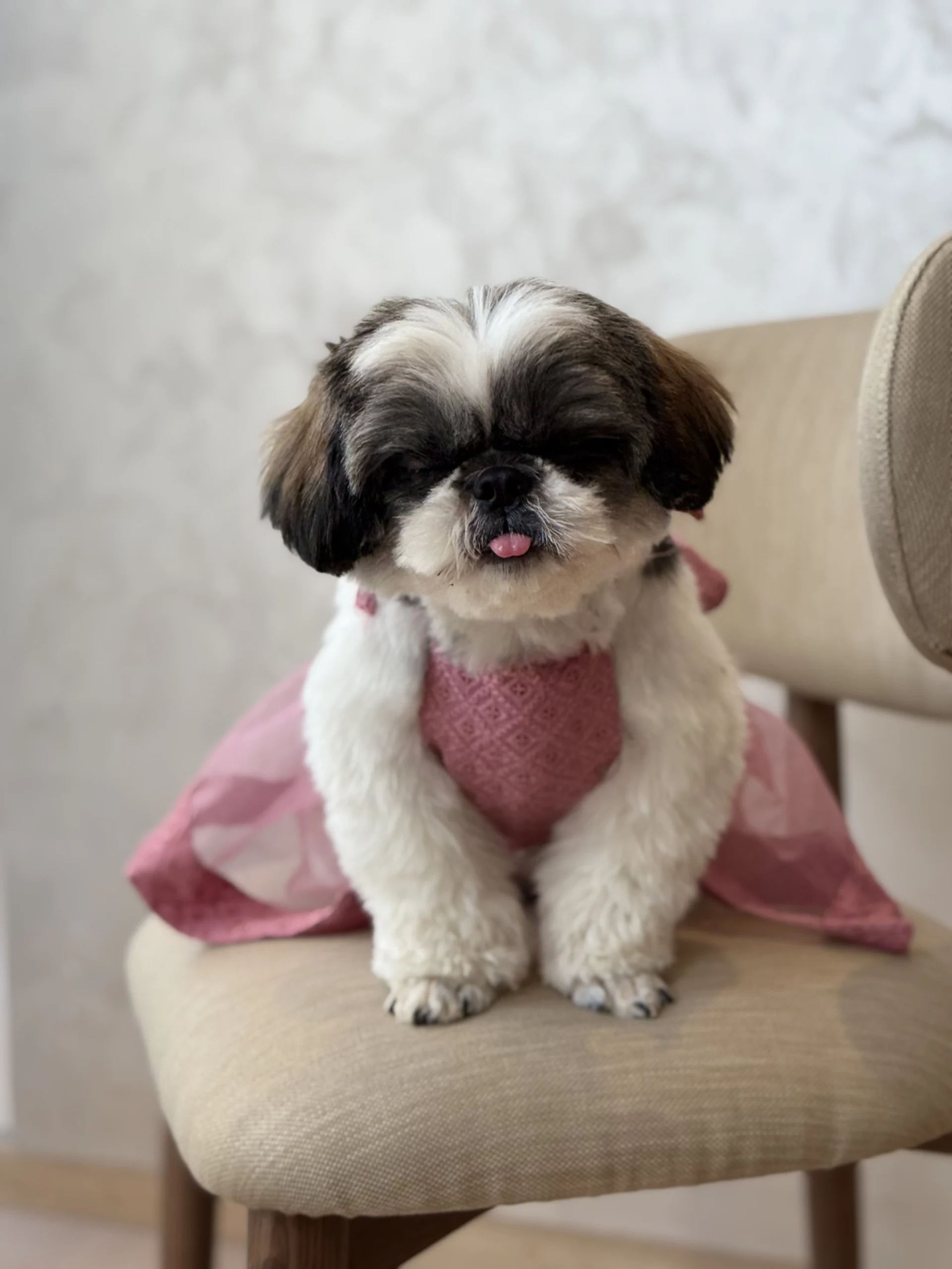 The lehenga - Image 5