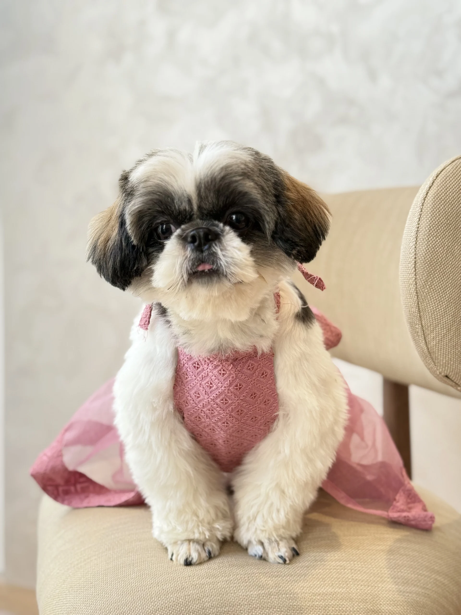 The lehenga - Image 4