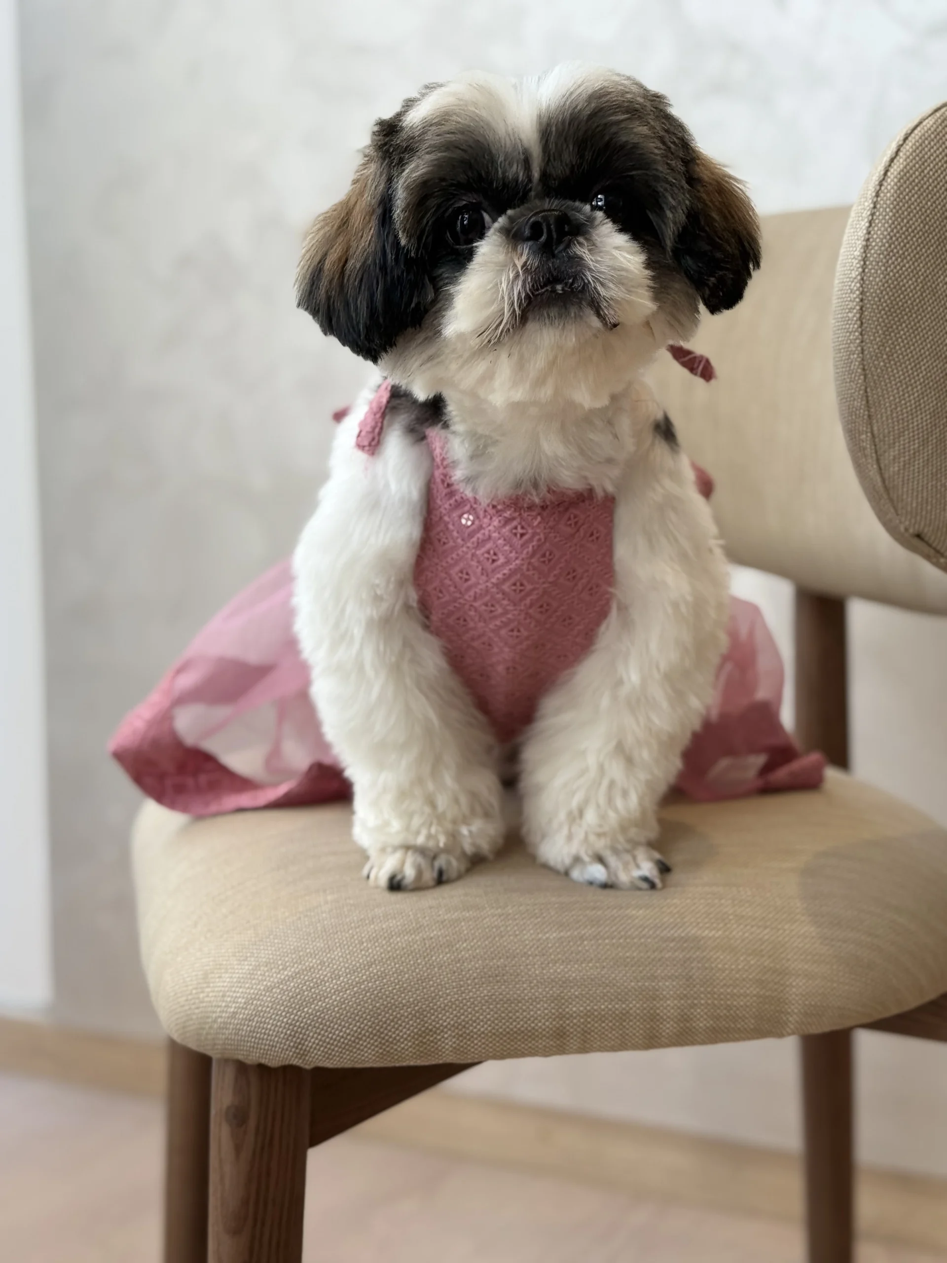 The lehenga - Image 2