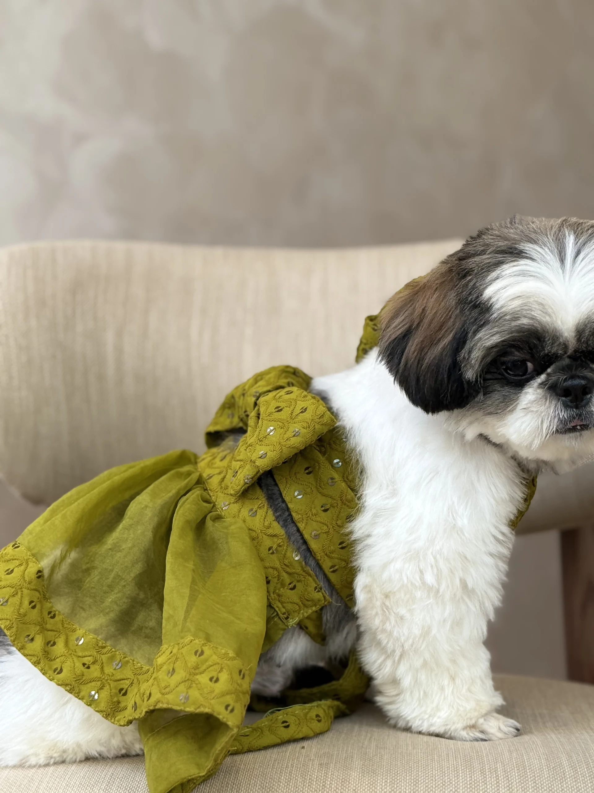 The lehenga - Image 6